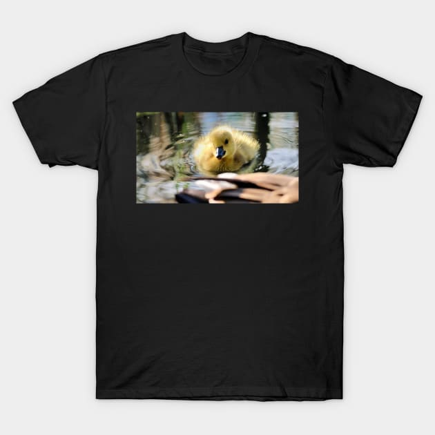 Smiling baby duck T-Shirt by SandiLin